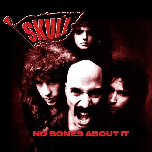 No Bones About It Skull