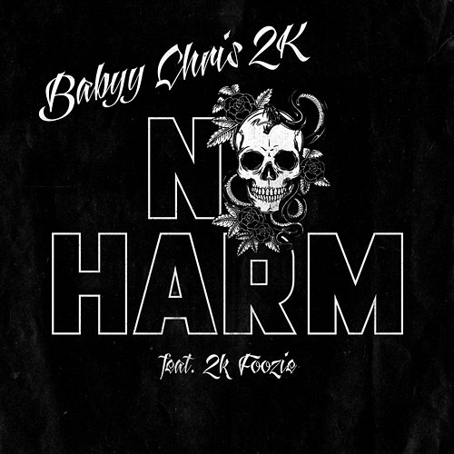 No Harm Babyy Chris 2K feat. 2k Foozie