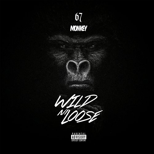 No Hook Monkey
