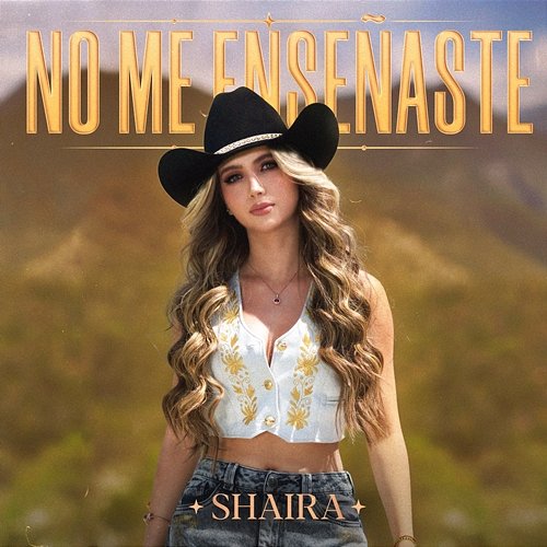 No Me Enseñaste Shaira