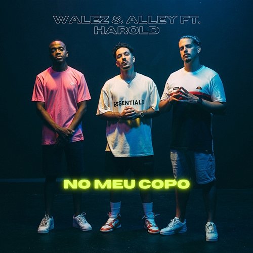 No Meu Copo Walez & Alley feat. Harold
