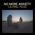 No More Anxiety: Calming Music, Sound Therapy, Slow Down Life, Overcome Fear, Mental Agitation Various Artists