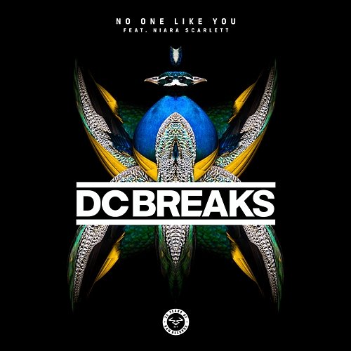 No One Like You DC Breaks feat. Niara Scarlett