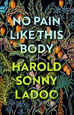 No Pain Like This Body: The forgotten classic masterpiece of Trinidadian literature Harold Sonny Ladoo