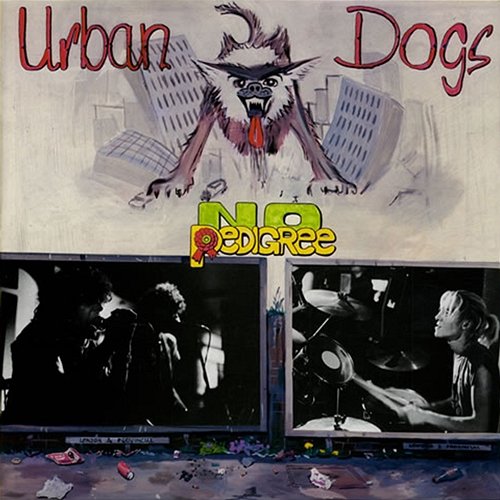 No Pedigree Urban Dogs