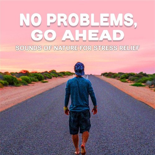 No Problems, Go Ahead: Sounds of Nature for Stress Relief, Meditation Relaxation Techniques, Anxiety Free, Healing Sound Therapy, Positive Energy Absolutely Relaxing Oasis