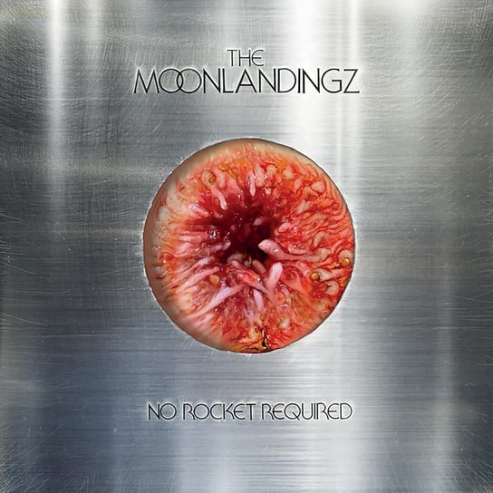 No Rocket Required The Moonlandingz