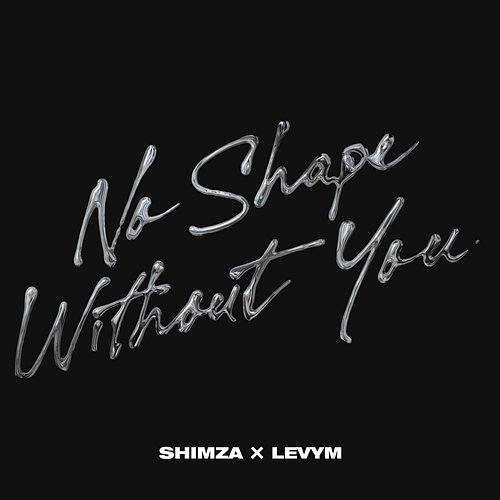 No Shape Without You Shimza, LevyM