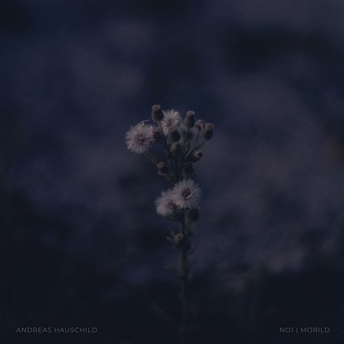 No1 Morild Andreas Hauschild