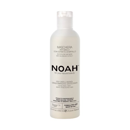 Noah, Maska do włosów 2.6 Anti-Yellow, 250 ml Noah
