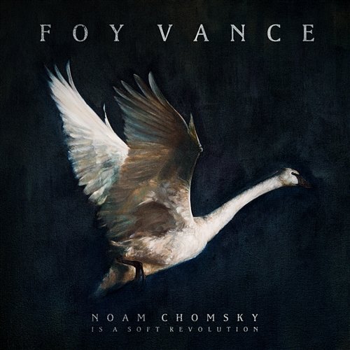 Noam Chomsky Is A Soft Revolution Foy Vance