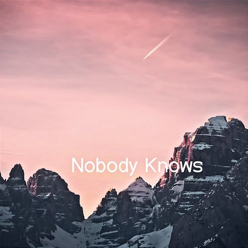 Nobody Knows Ashley Brooks