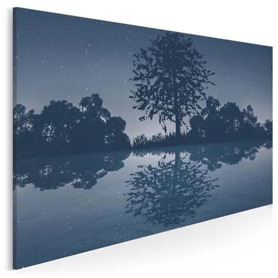 Noc spadających gwiazd - nowoczesny obraz na płótnie - 120x80 cm VAKU-DSGN Nowoczesne obrazy