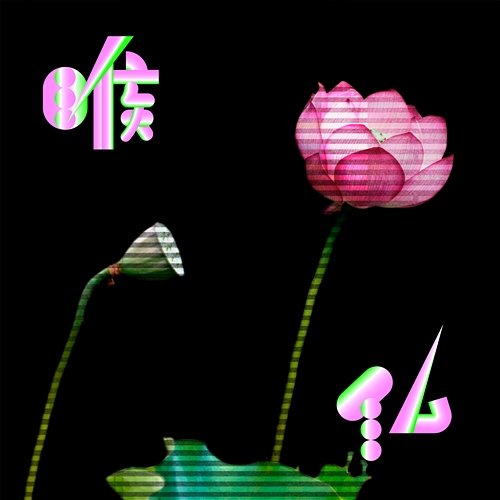 Nodobotoke CreepHyp