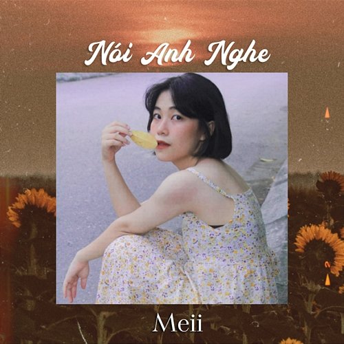 Nói Anh Nghe Meii