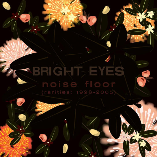 Noise Floor Rarities 1998-2005 Bright Eyes