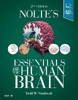 Nolte's Essentials of the Human Brain Vanderah Todd