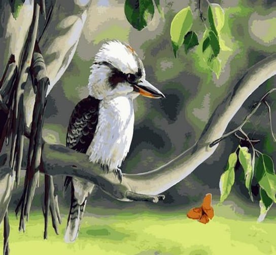 Norimpex, Malowanie po numerach Ptak Kukabura na gałęzi 40x50cm Norimpex