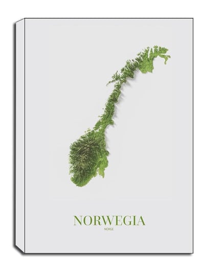 Norwegia, mapa - obraz na płótnie 30x40 cm Galeria Plakatu