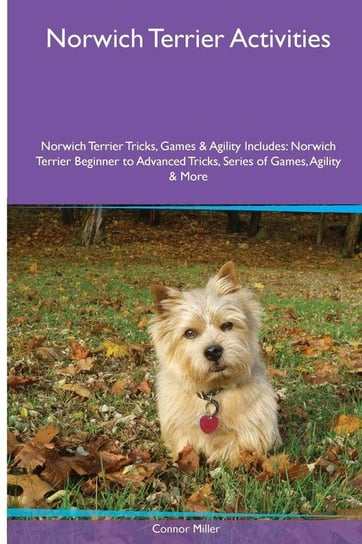 Norwich Terrier  Activities Norwich Terrier Tricks, Games & Agility. Includes Miller Connor