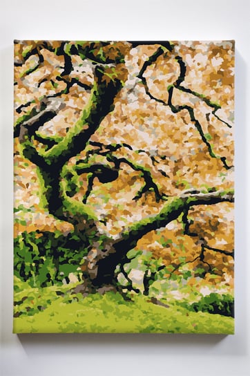Nostalgiczne drzewo, drzewo, park, jesień, malowanie po numerach Akrylowo
