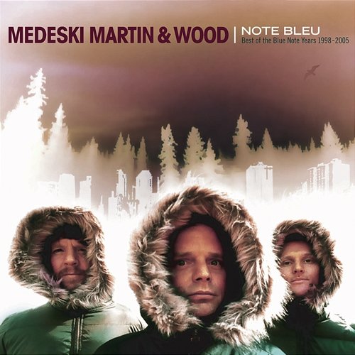 Note Bleu: The Best Of. . . Medeski Martin & Wood