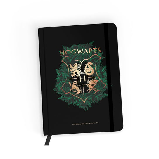 Notes w linię Harry Potter 019 Harry Potter Czarny Harry Potter