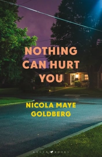 Nothing Can Hurt You Goldberg Nicola Maye Goldberg