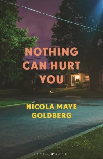 Nothing Can Hurt You Nicola Maye Goldberg
