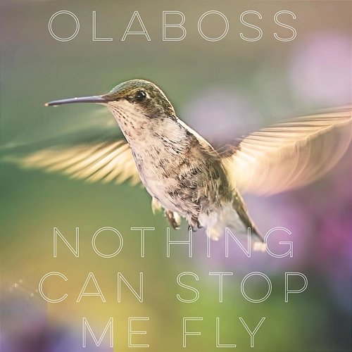Nothing Can Stop Me Fly OlaBoss