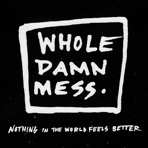 Nothing In The World Feels Better Whole Damn Mess