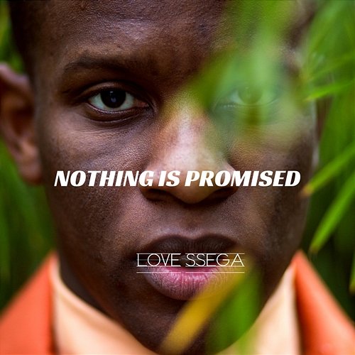 Nothing Is Promised Love Ssega