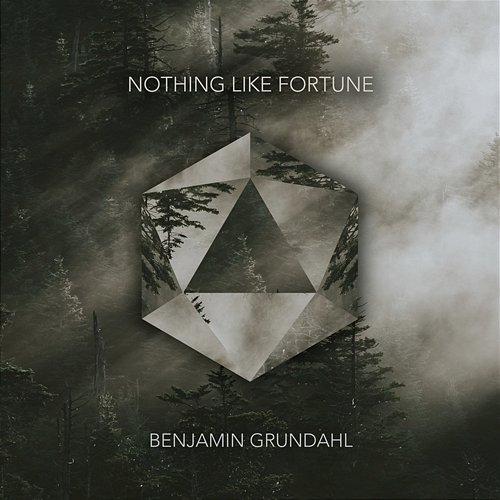 Nothing Like Fortune Benjamin Grundahl
