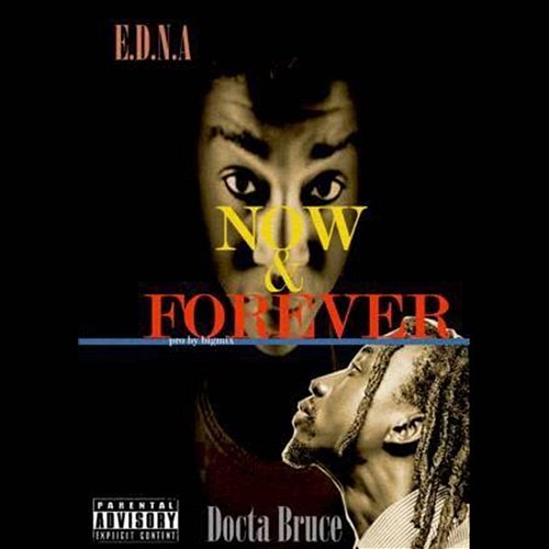 Now & Forever Dr Bruce feat. EDNA