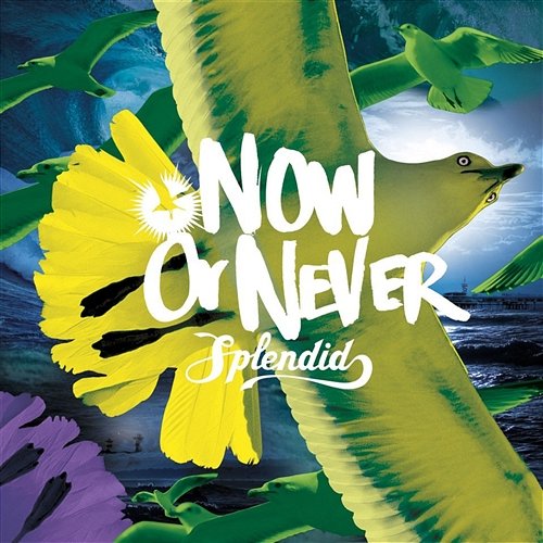 Now Or Never Splendid