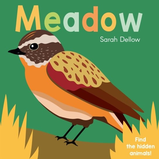 Now you See It! Meadow Sarah Dellow