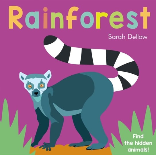 Now you See It! Rainforest Sarah Dellow