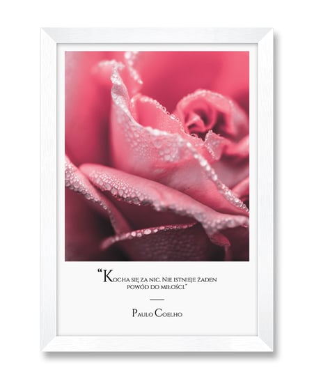 Nowoczesny obraz idealny na prezent róże róża cytat o miłości Paulo Coelho biała rama 23,5x32 cm iWALL studio