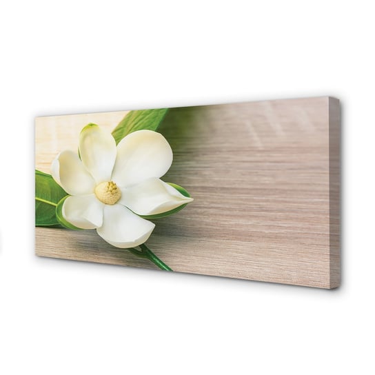 Nowoczesny Obraz na płótnie TULUP Biała magnolia 100x50 cm Tulup