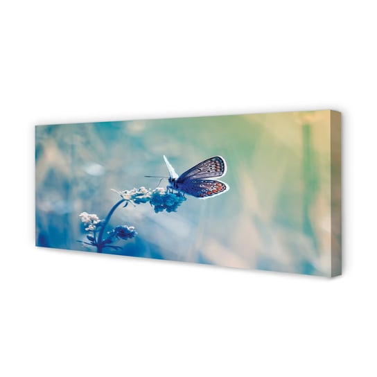 Nowoczesny Obraz na płótnie TULUP Kolorowy motyl 125x50 cm Tulup