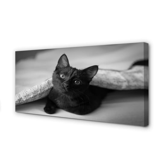 Nowoczesny Obraz na płótnie TULUP Kot pod kołdrą 100x50 cm Tulup