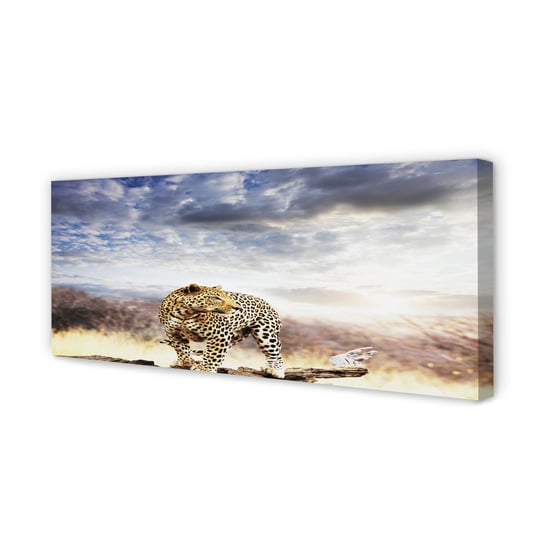 Nowoczesny Obraz na płótnie TULUP Pantera chmury 125x50 cm Tulup