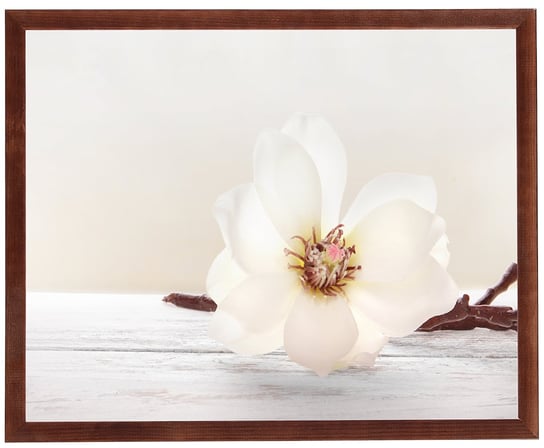 Nowoczesny obraz w brązowej ramie w rozmiarze 40x50 cm - Flower 11 POSTERGALERIA