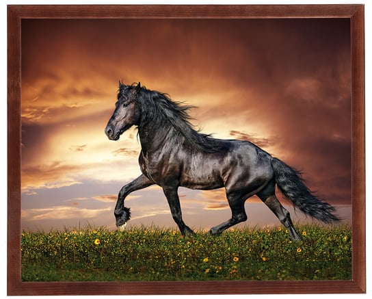 Nowoczesny obraz w brązowej ramie w rozmiarze 40x50 cm - Horse 1 POSTERGALERIA