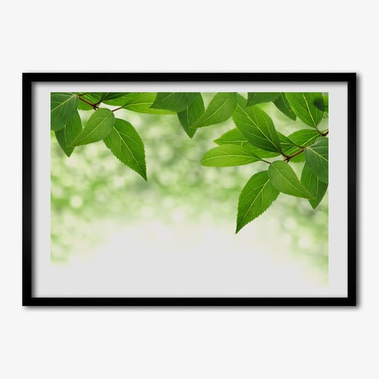 Nowoczesny Obraz z ramką TULUP Zielone liście 70x50 cm Tulup