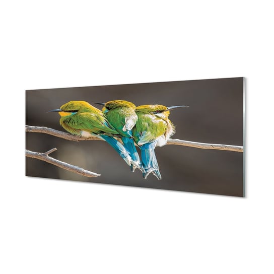 Nowoczesny panel szklany Ptaki na gałęzi 125x50 cm Tulup