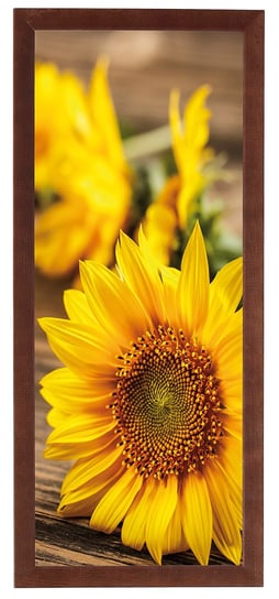 Nowoczesny plakat w brązowej ramie o wymiarach 20x50 cm - Sunflower 2 POSTERGALERIA