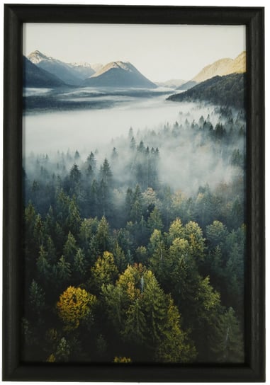 Nowoczesny plakat w czarnej ramie 20x30 cm -  Misty forest POSTERGALERIA
