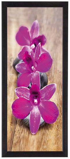 Nowoczesny plakat w czarnej ramie o wymiarach 20x50 cm - Orchid 5 POSTERGALERIA
