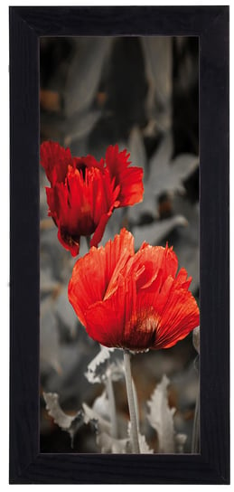 Nowoczesny plakat w czarnej ramie o wymiarach 20x50 cm - Poppies 1 POSTERGALERIA